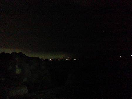 エギングでまたタチウオ