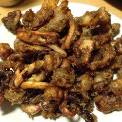 大雨後は渋い。