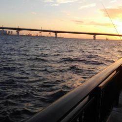 渋いと思うんですよ