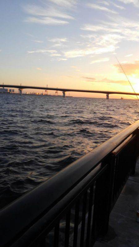 渋いと思うんですよ