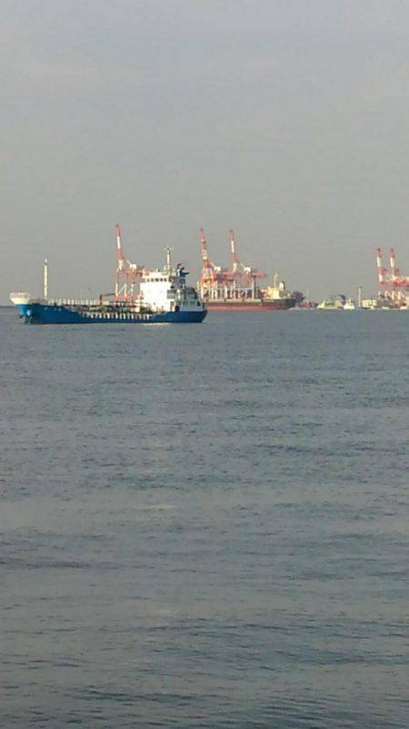 よく釣れました