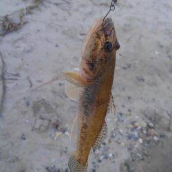 30分一本勝負！