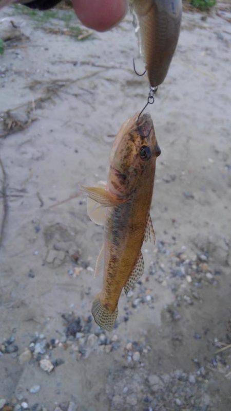 30分一本勝負！