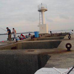 新波止タチウオ