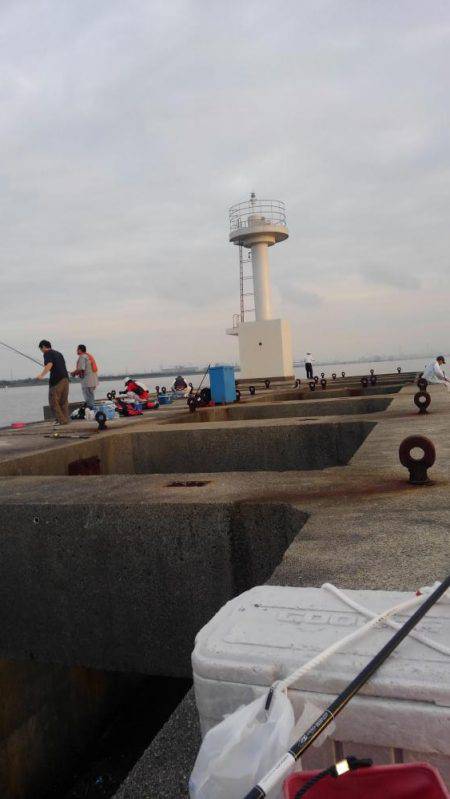 新波止タチウオ