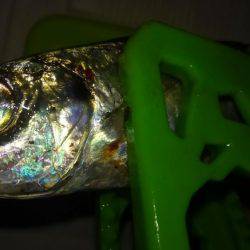 アジフライの材料を調達