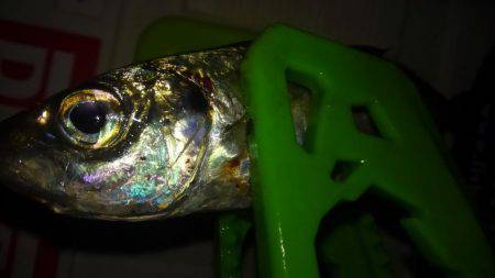 アジフライの材料を調達