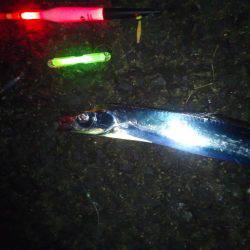 台風さって早速