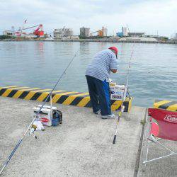 台風通過後初の淡路釣行
