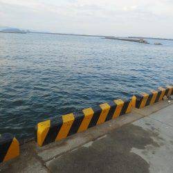 今年初めの太刀魚・・・・