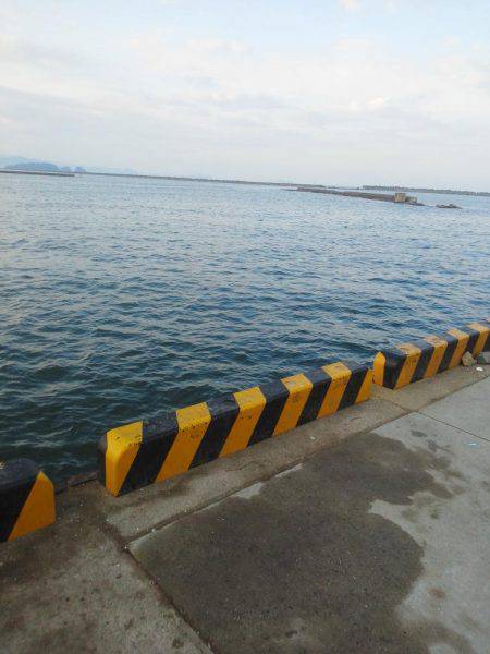 今年初めの太刀魚・・・・