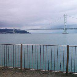 アジュール舞子のサビキ釣り