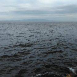 ジグサビキング