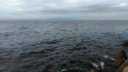 ジグサビキング