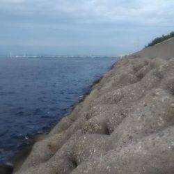 ワインドタチウオ