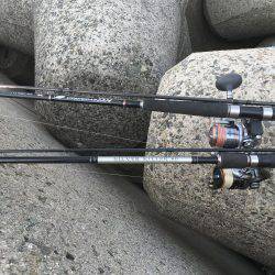 朝タチ   サゴシ不発