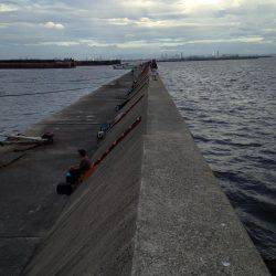 ムコイチ半夜釣行