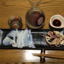 ケンサキイカ調査