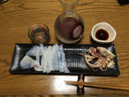 ケンサキイカ調査