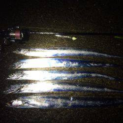 久しぶりのタッチー‼︎