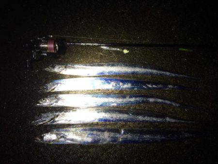 久しぶりのタッチー‼︎