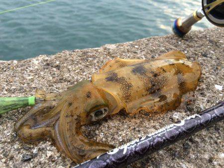 ウネリが・・・