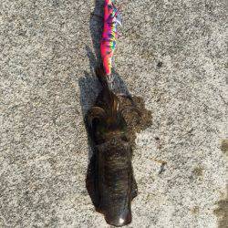 またまた中紀へ