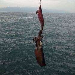 エギングジギング