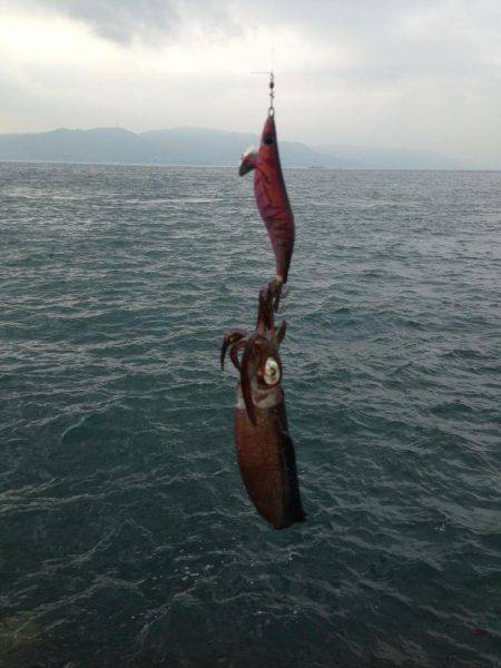 エギングジギング