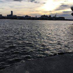 大賑わい食コン