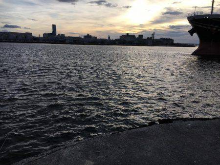 大賑わい食コン