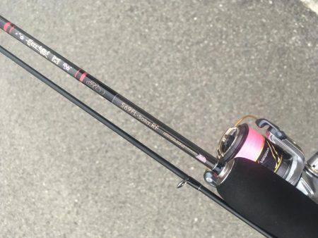 たった10分‼️