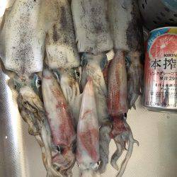 台風後の濁り…