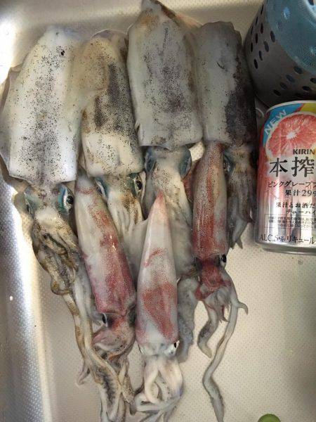 台風後の濁り…