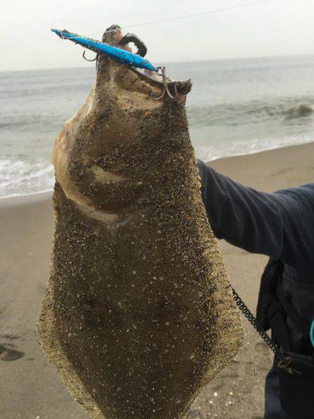 秋ヒラメ開幕へ