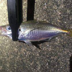 台風の影響は…