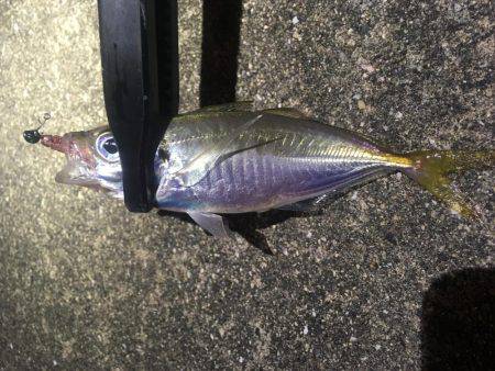 台風の影響は…