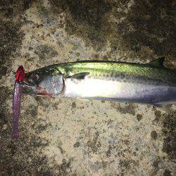 ワインドにて・・・