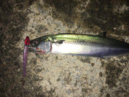 ワインドにて・・・