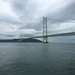 青物フィーバー