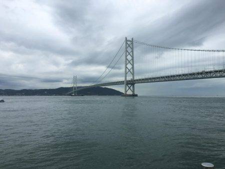 青物フィーバー