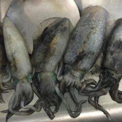 水潮渋々でした