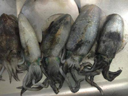 水潮渋々でした