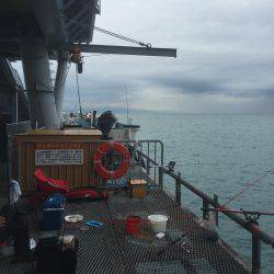 子供とサビキ釣り