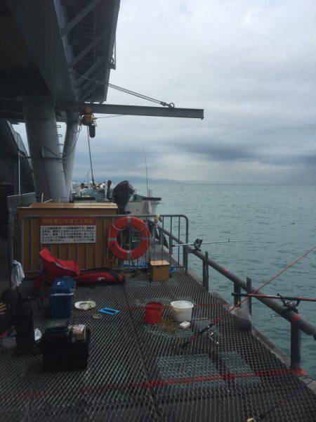 子供とサビキ釣り