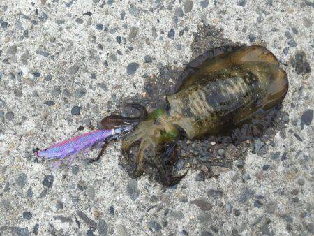 苦戦しましたが…