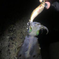 リリースしてあげましょうよ‼️