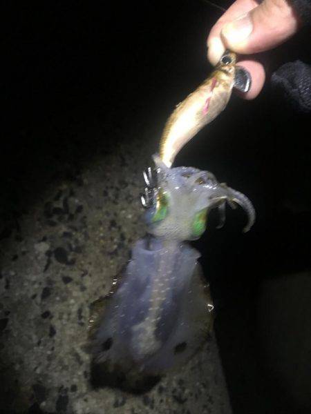 リリースしてあげましょうよ‼️