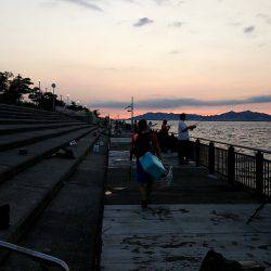 夕方に粘ってサゴシ