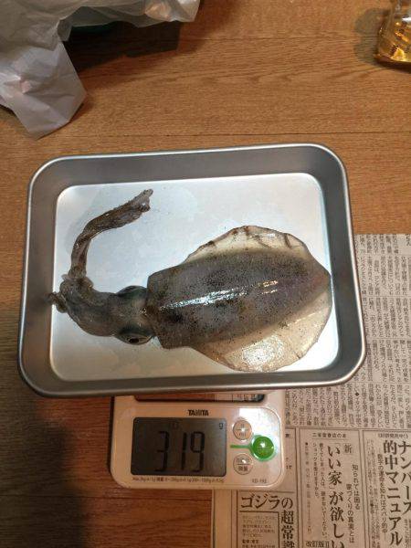 新子にしてはデカイ